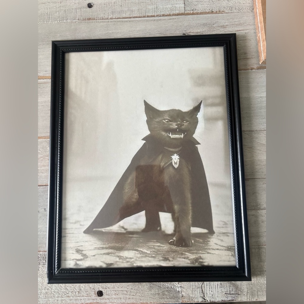 The Purr of Dracula (2) Framed 8x10”